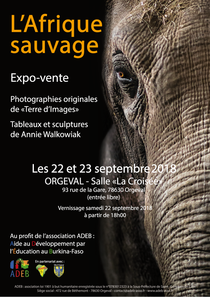 Expo-ADEB.png